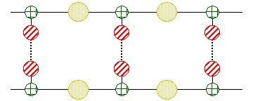 nucleinezuur